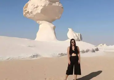 Guests in white desert