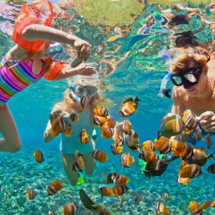 A family enjoying snorkeling in Red Sea Sharm El Sheikh Egypt