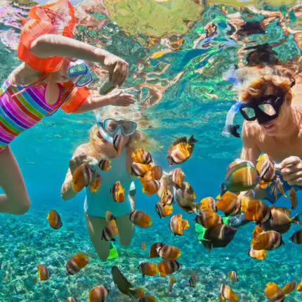 Egypt Holiday Packages - snorkeling in Red Sea Sharm El Sheikh Egypt