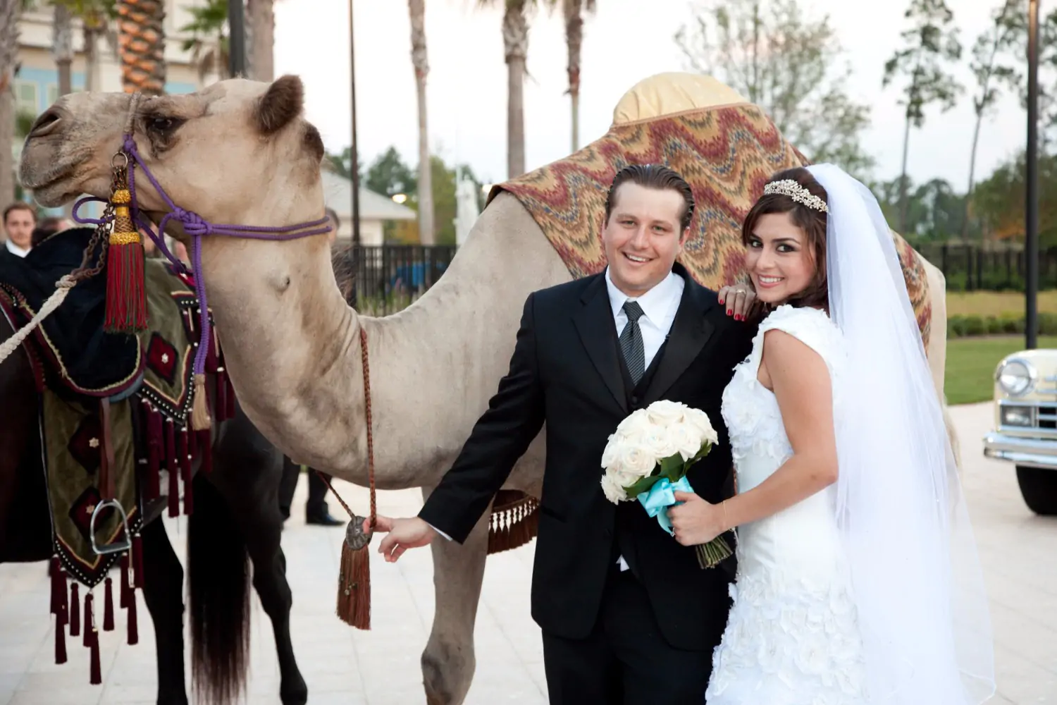 Wedding and Honeymoon by the Pyramids of Giza Egypt