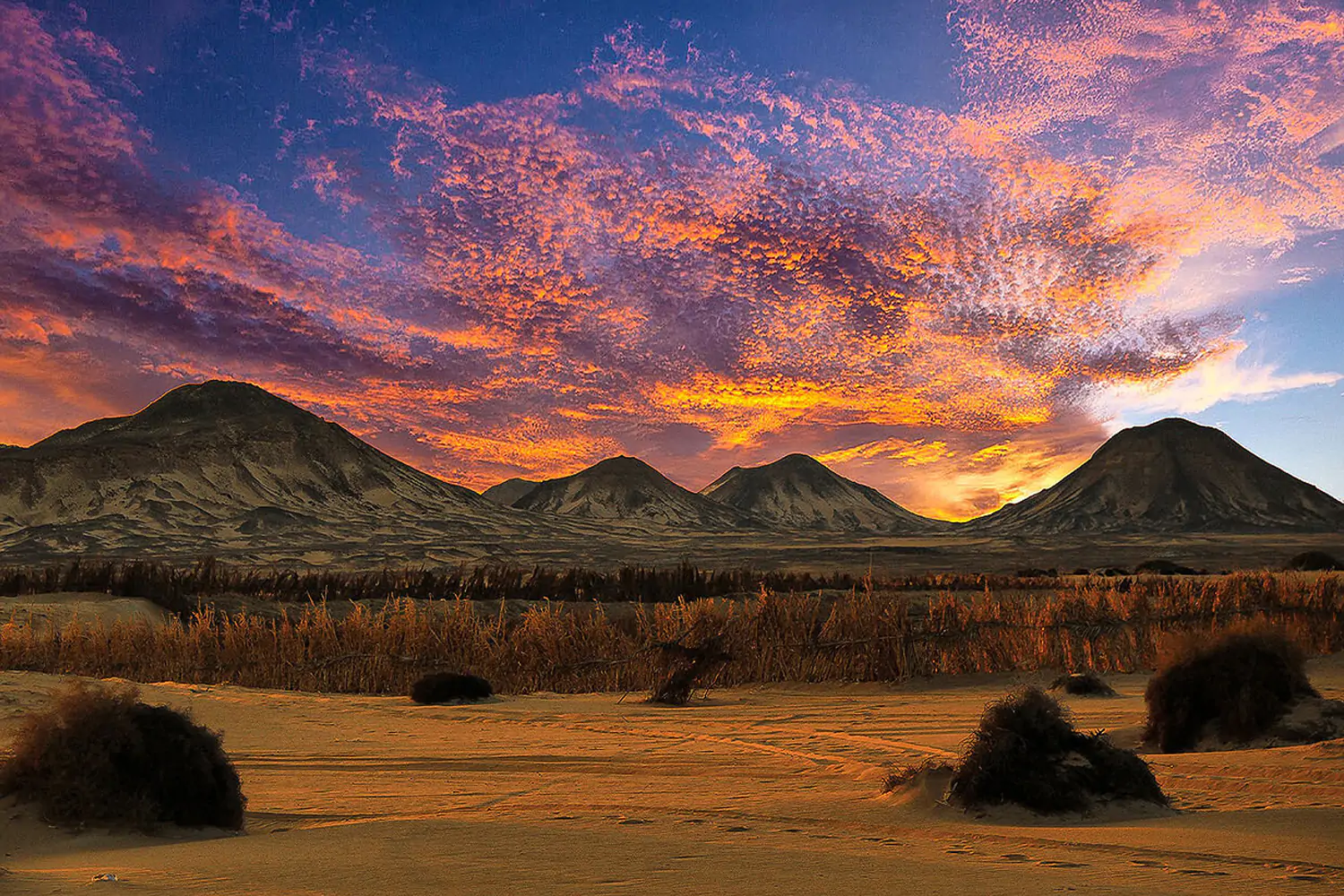 Black Desert