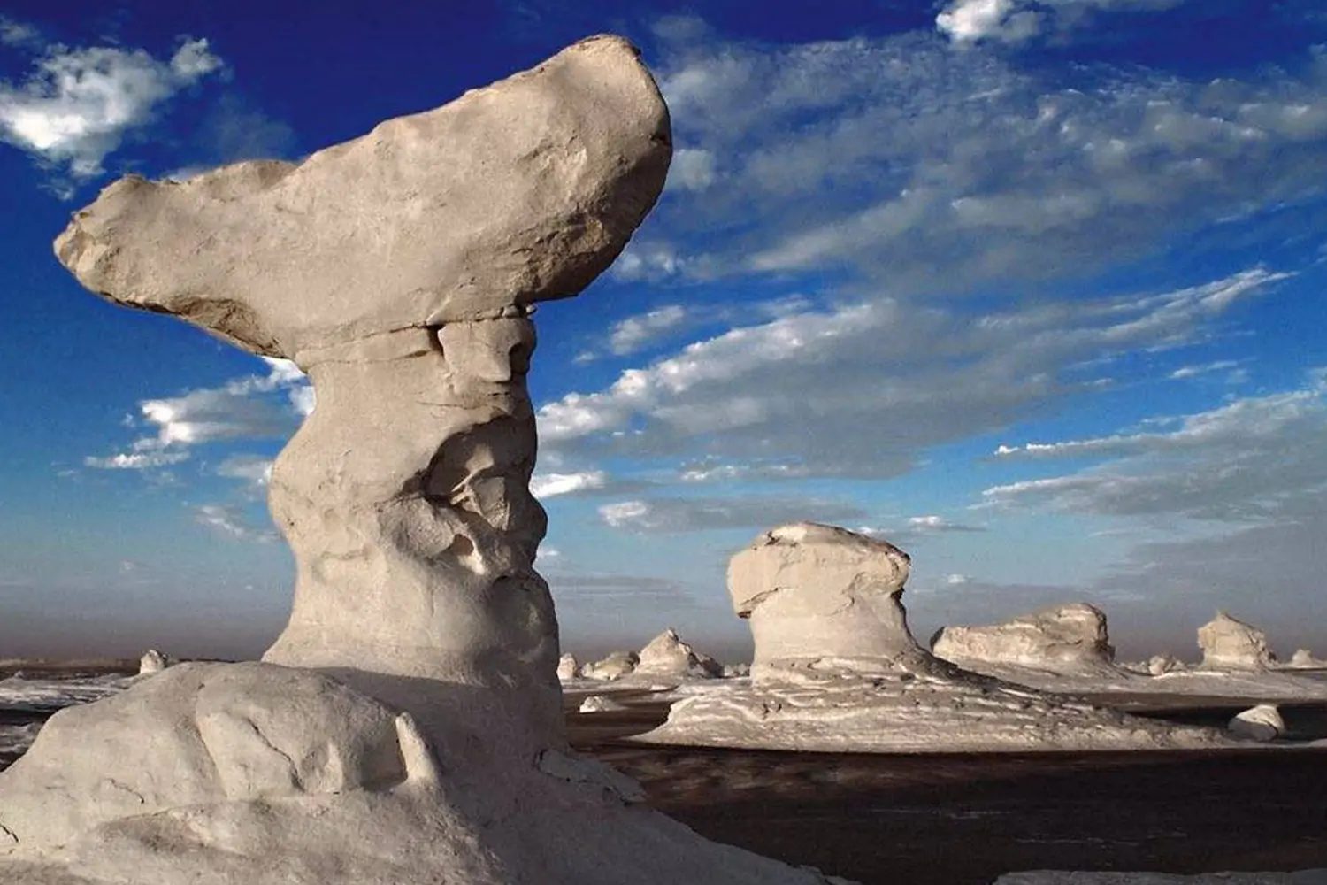 White Desert