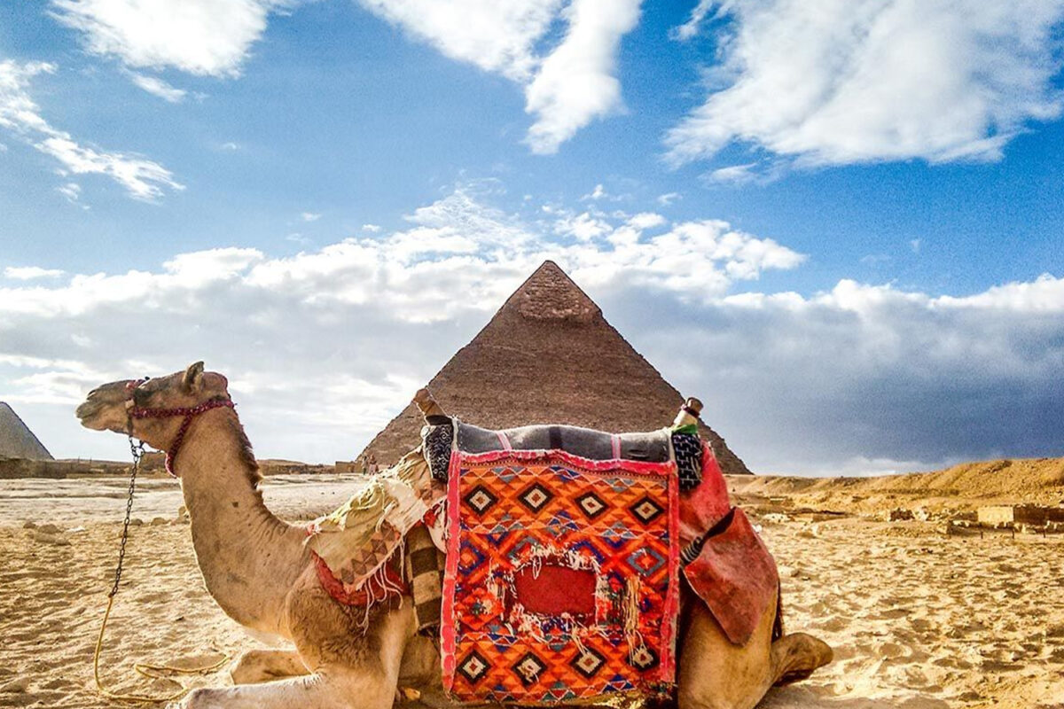 Pyramids Giza Overview