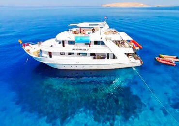 Snorkeling Adventure in Ras Mohammed