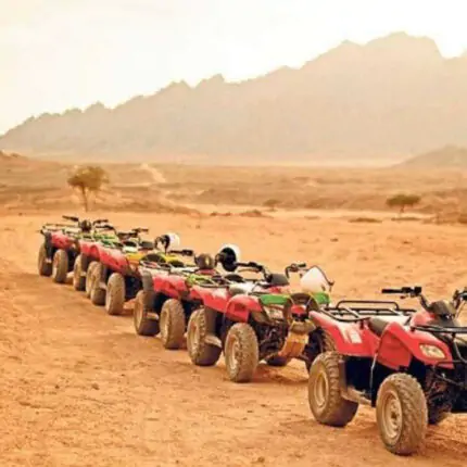 Quad Bike Adventure
