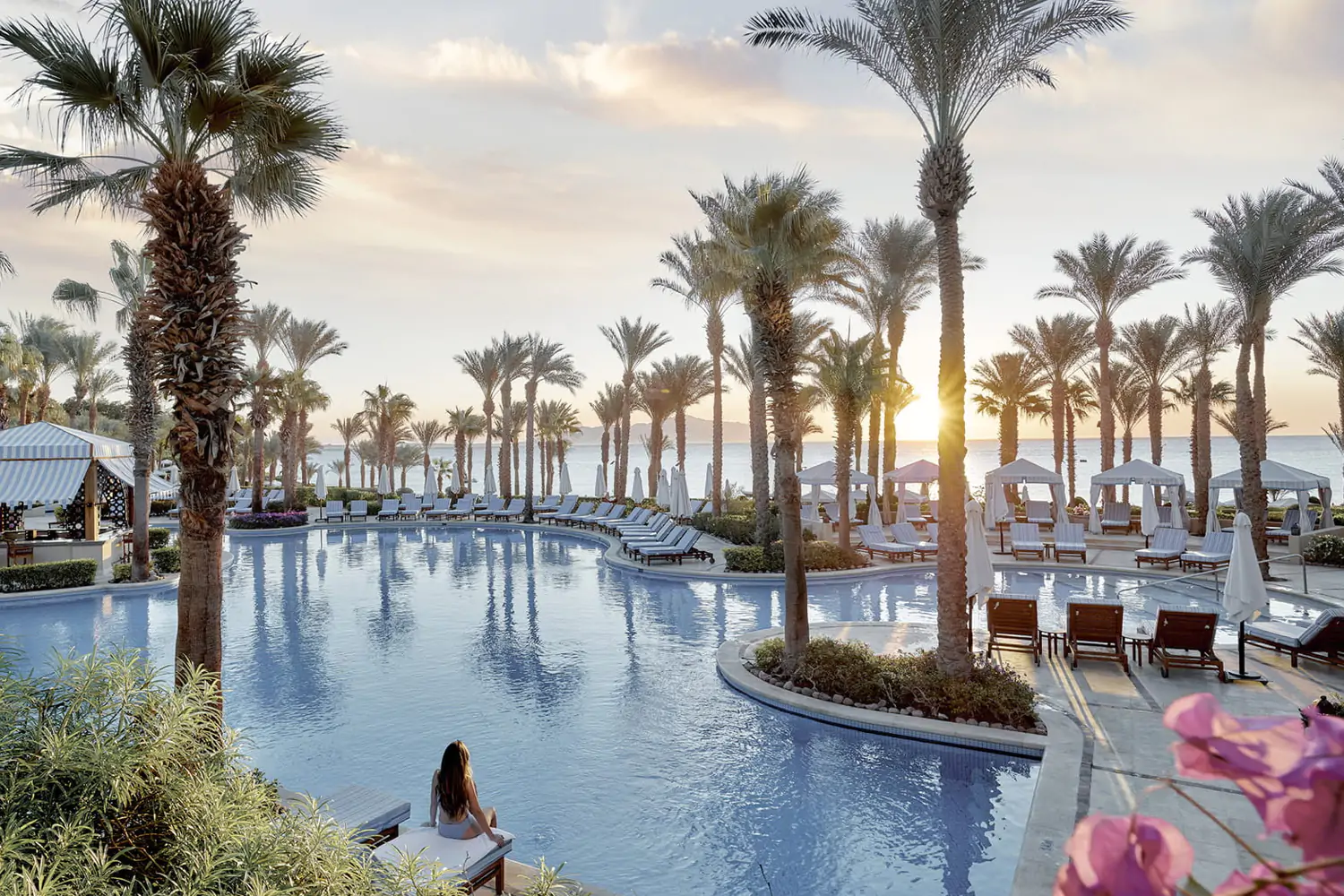 Sharm El Sheikh Hotels Sharm El Sheikh Hotels
